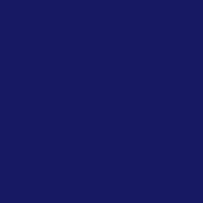 Navy blauw